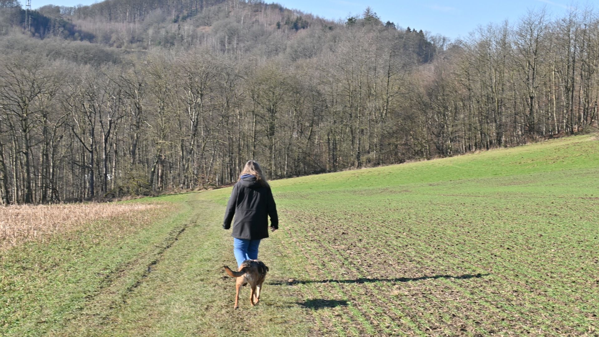 Wanderweg über die Wiese